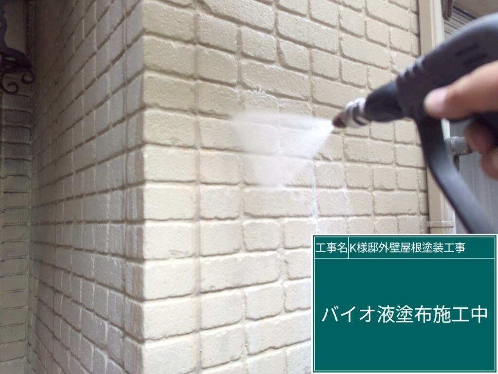 壁バイオ液塗布