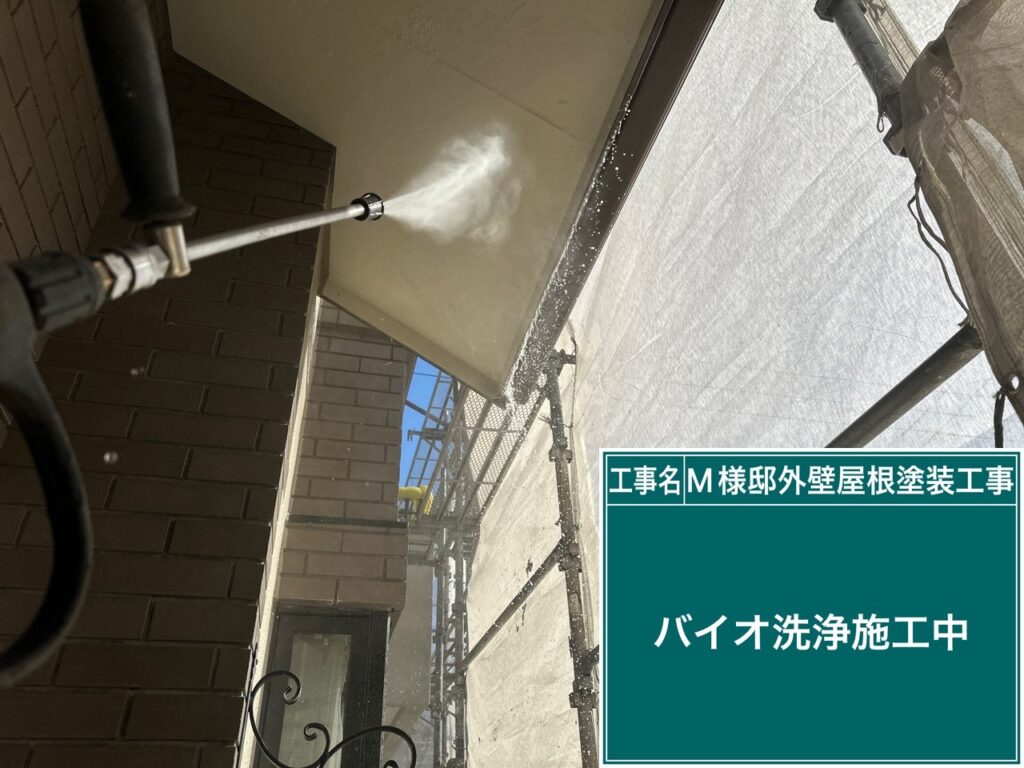 軒天バイオ液塗布